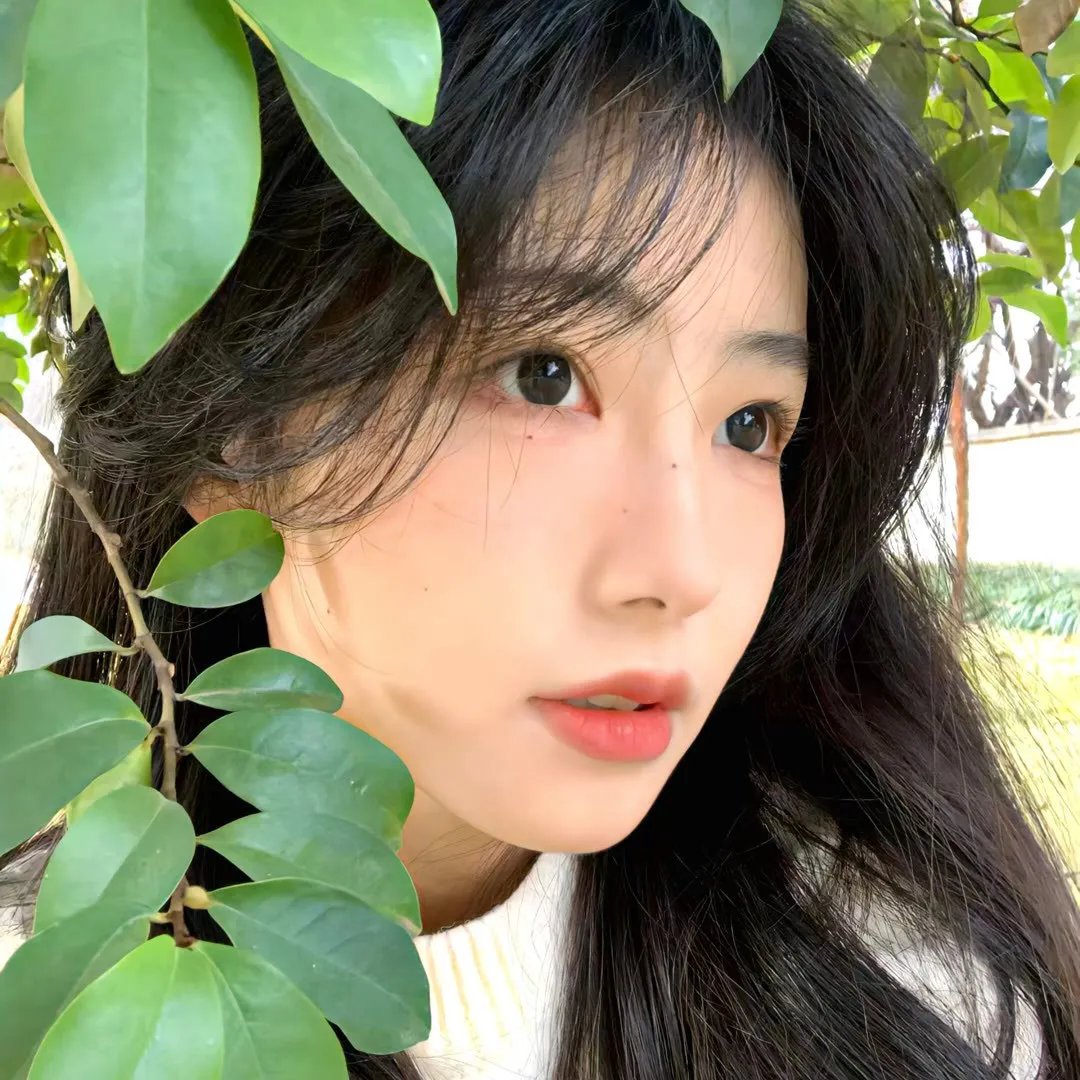树海村