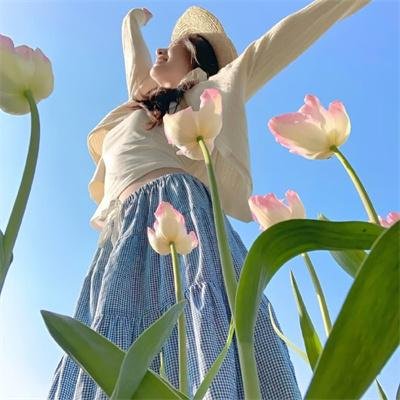 青春浪花